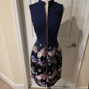 Stunning Ted Baker Dress Size 1 Or Small